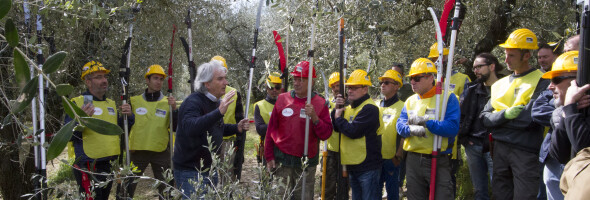 CORSO PROFESSIONALE PER LA POTATURA E COLTURA DELL’OLIVO 1-2 APRILE 2023